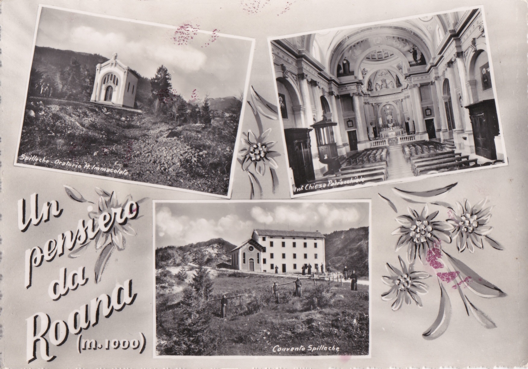 roana-cartolina